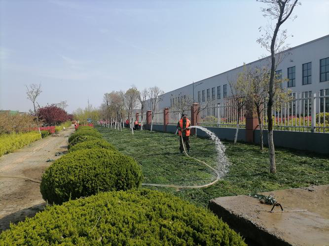 安徽皖新電機(jī)有限公司廠區(qū)園林綠化養(yǎng)護(hù)改造工程(圖3) 1 副本.jpg